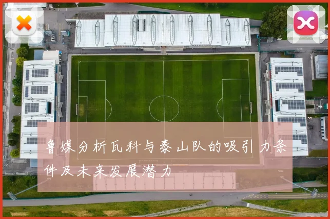 鲁媒分析瓦科与泰山队的吸引力条件及未来发展潜力