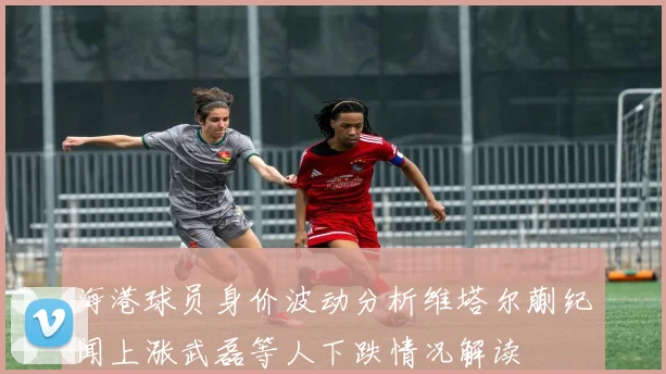 海港球员身价波动分析维塔尔蒯纪闻上涨武磊等人下跌情况解读
