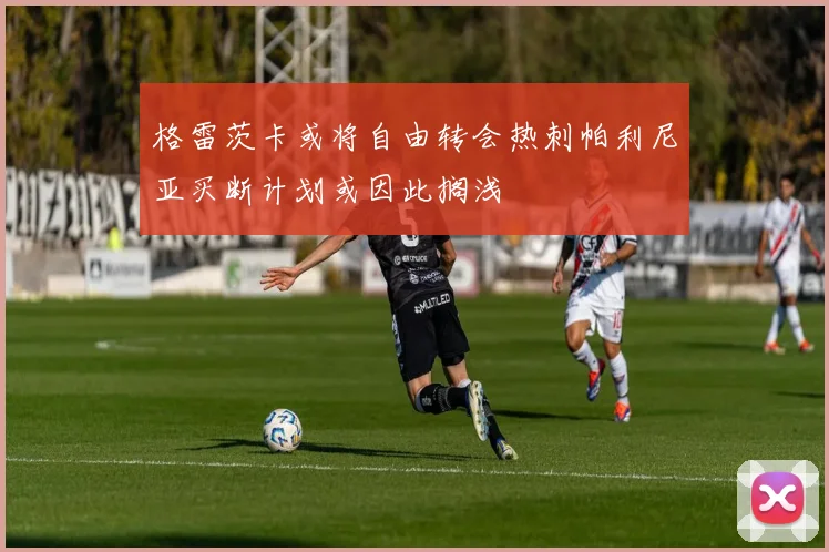 格雷茨卡或将自由转会热刺帕利尼亚买断计划或因此搁浅
