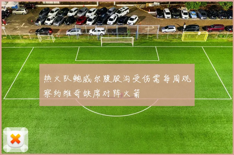 热火队鲍威尔腹股沟受伤需每周观察约维奇缺席对阵火箭